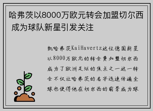 哈弗茨以8000万欧元转会加盟切尔西 成为球队新星引发关注 哈弗茨以8000万欧元转会加盟切尔西 成为球队新星引发关注